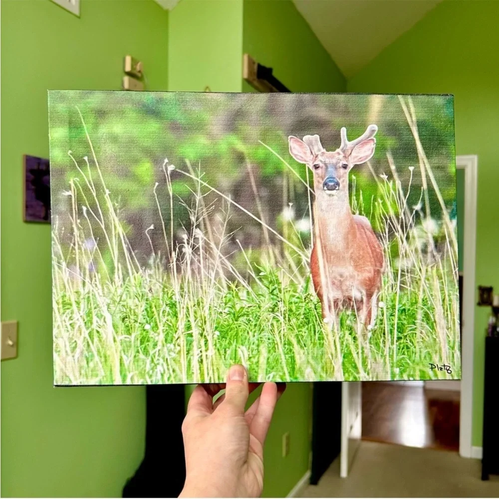 Still Life Deer in Woods Cabin Nature Animal Canvas Wall Decor Accent Farmhouse